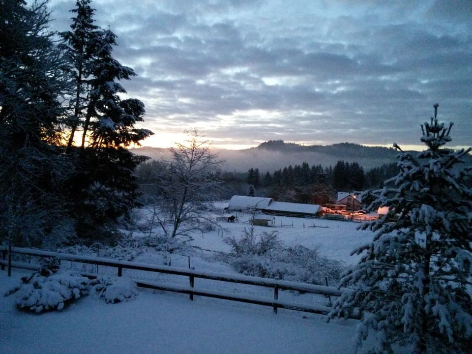 Early morning sunrise