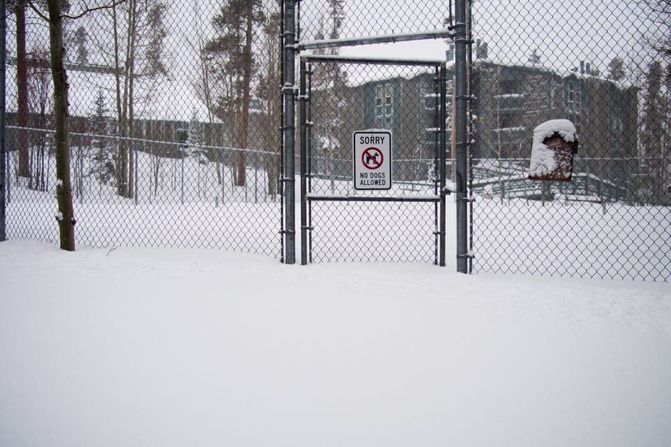 Tennis, anyone? :-)