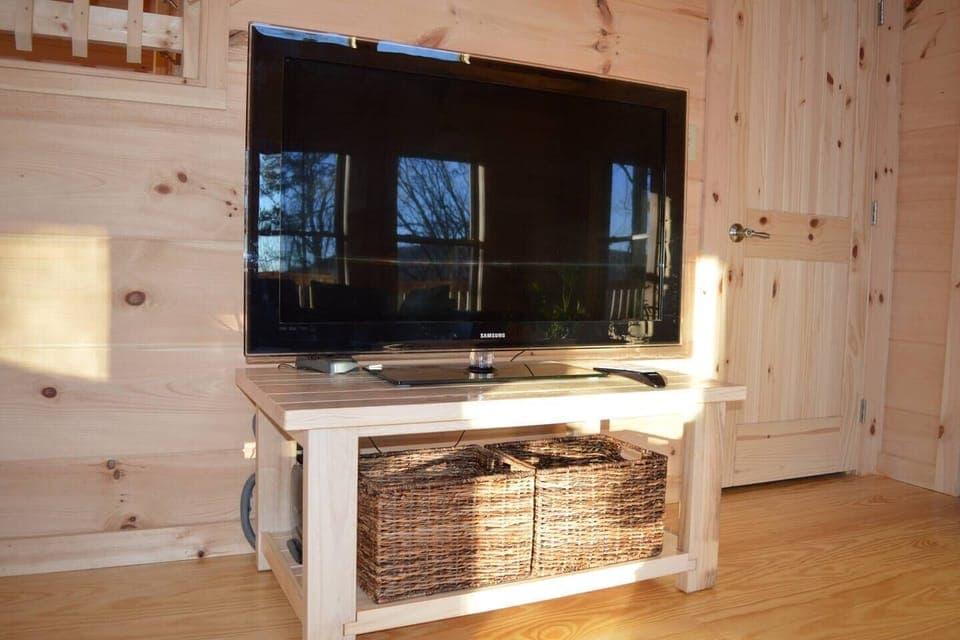 TV in the Living Room