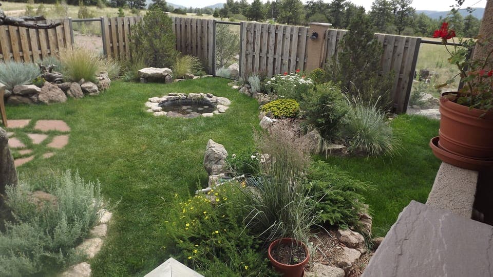 Summer: Front garden in summer