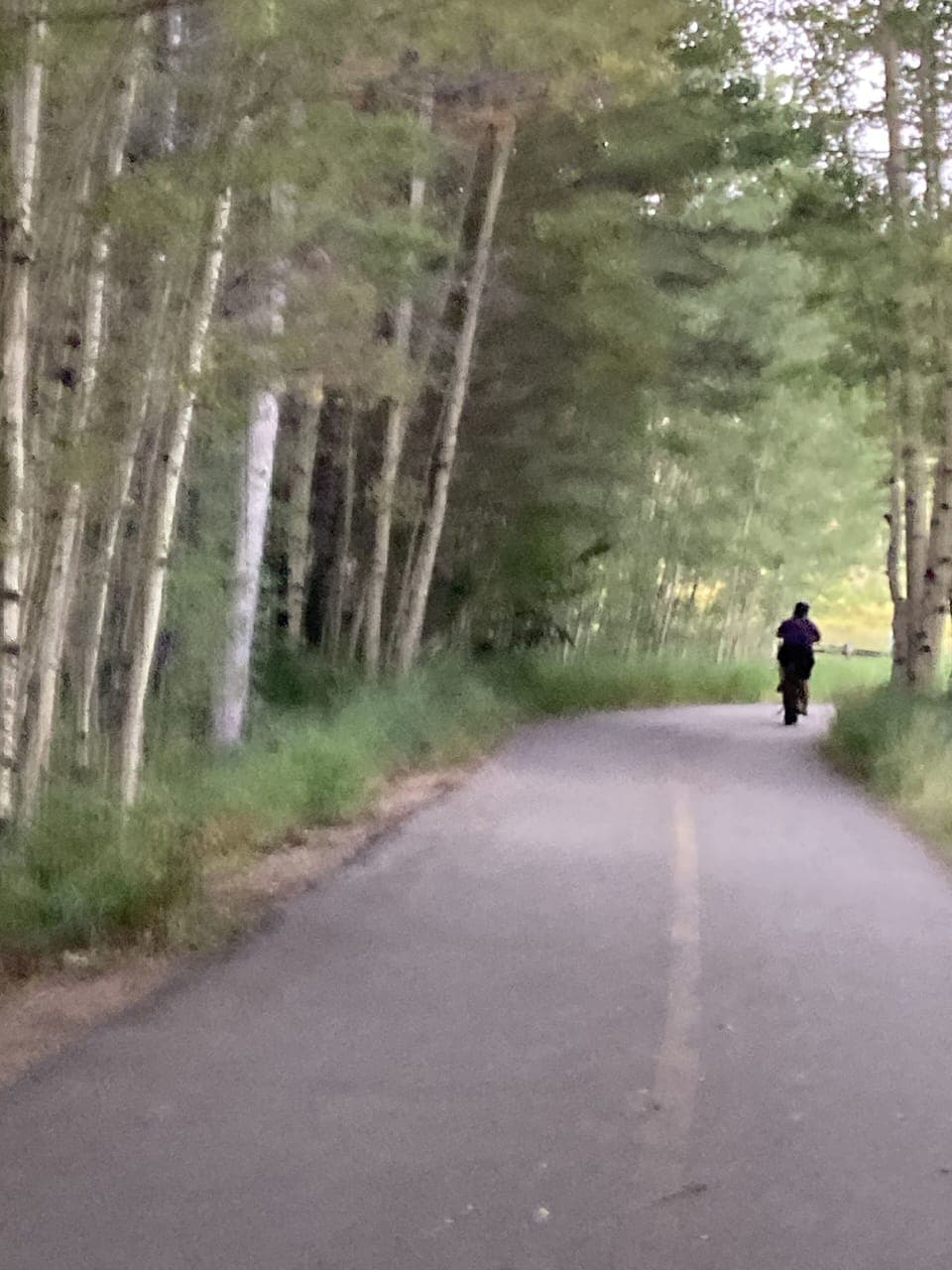 Beautiful bike path all the way around the lake!