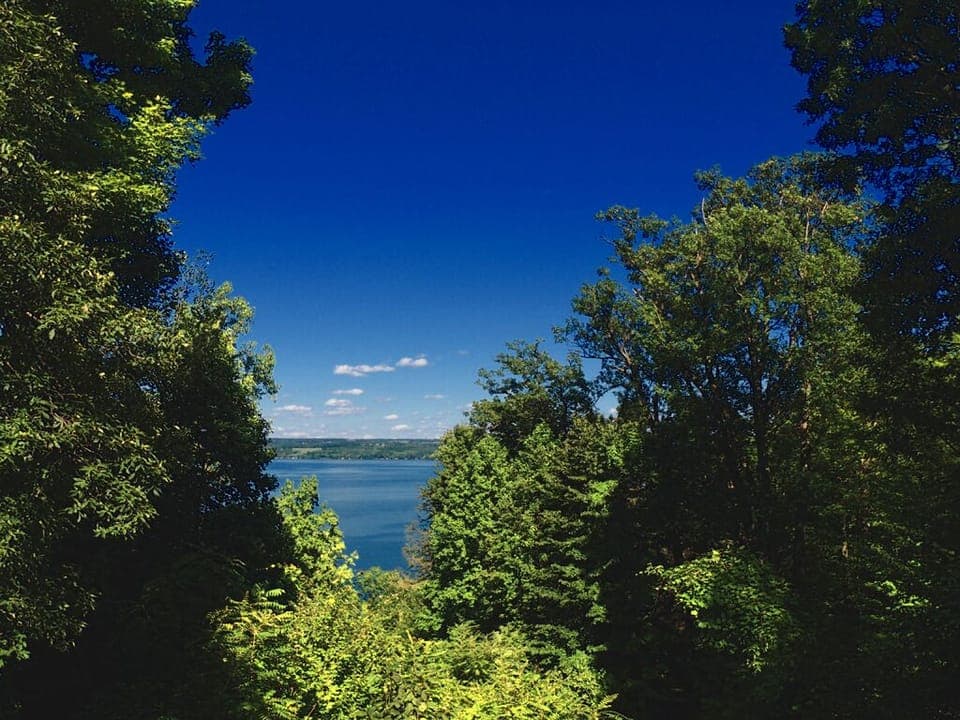 Cayuga Lake view