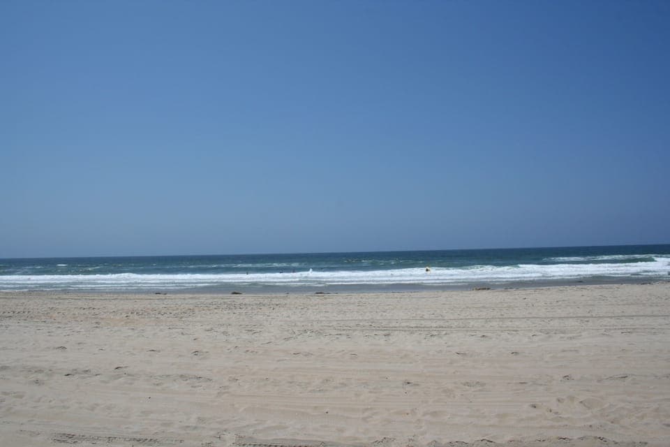 Mission Beach - Surfers and Dolphins!
50 steps from our building.
