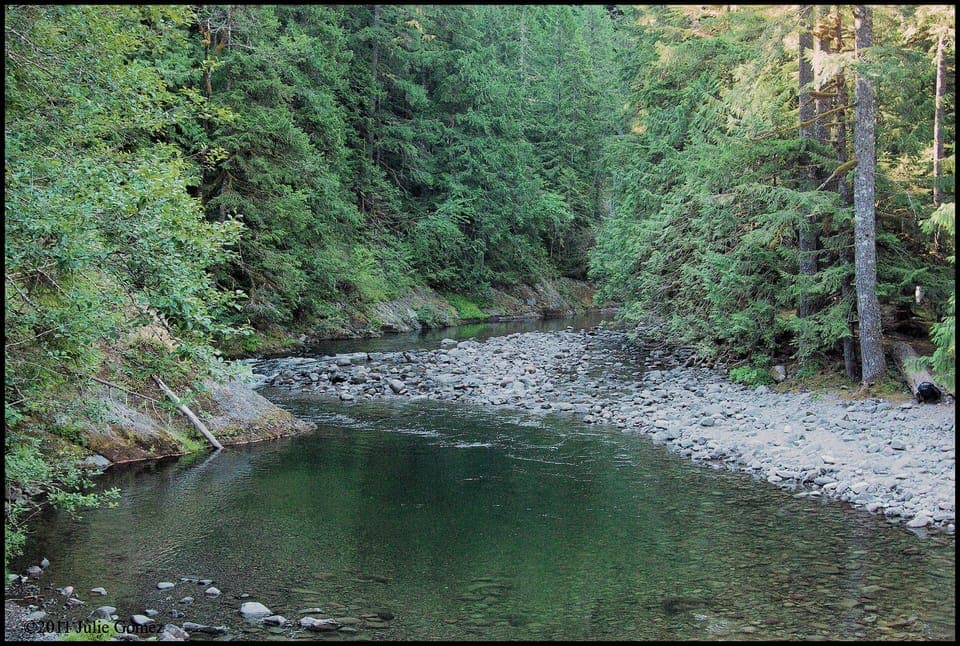 Great hiking and fishing on the Salmon River, right outside our back door.