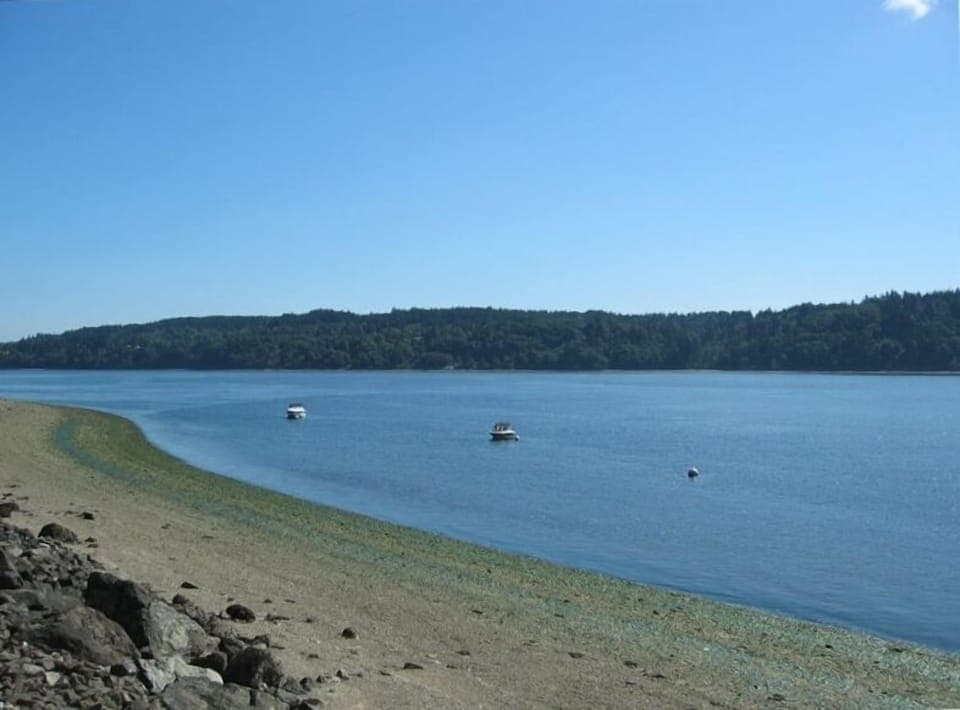 Soak in the cabin's panoramic private ocean front, view to the left.