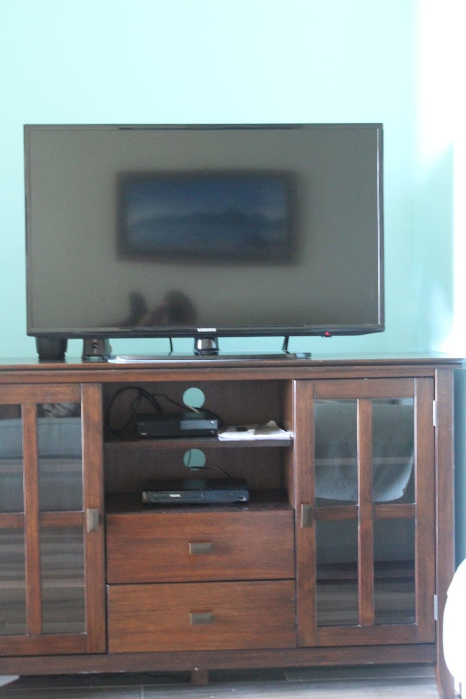 Living room entertainment center