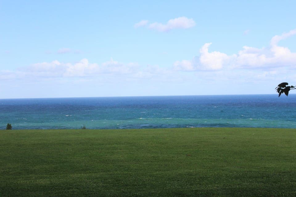 Breathtaking expansive ocean view from the ground floor. Just open the door!  