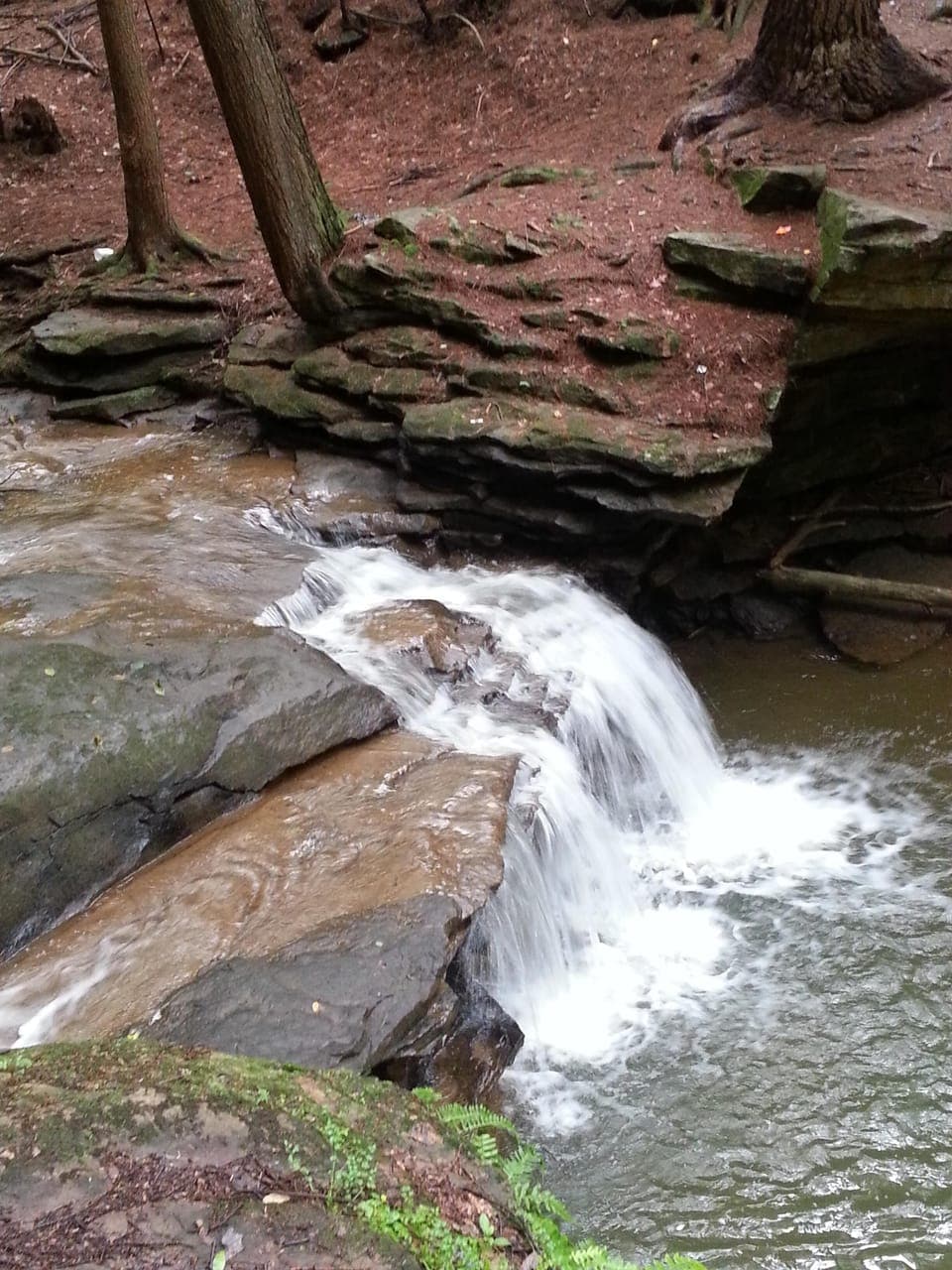 Panther Springs, beautiful hike just a few minuets drive from the Lodge.  