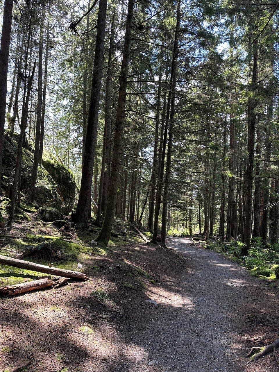 A typical trail within easy walking distance from our property.