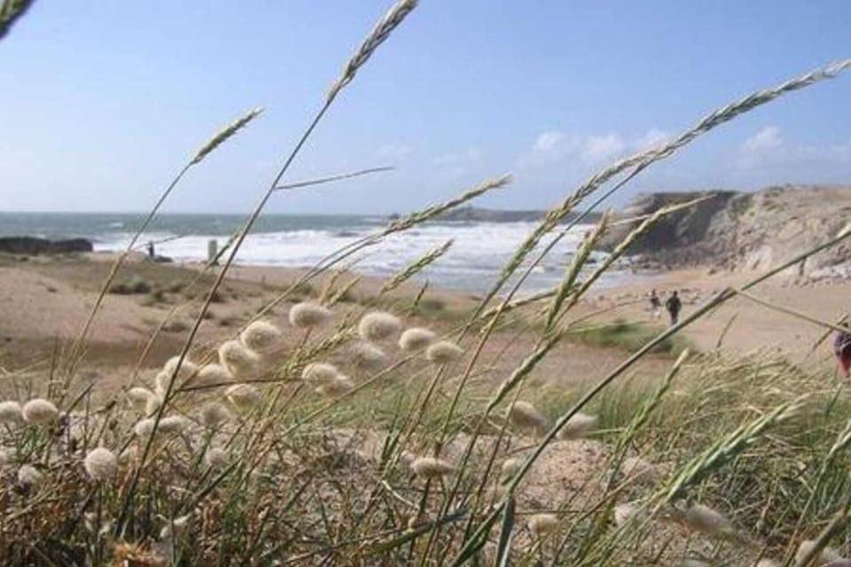 Beach nearby, white sand