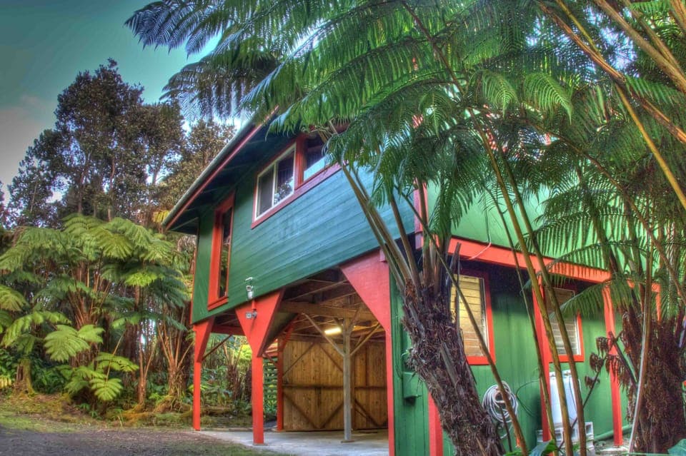 Hale Hubner rests in the heart of the lush fern rainforest of Volcano Village