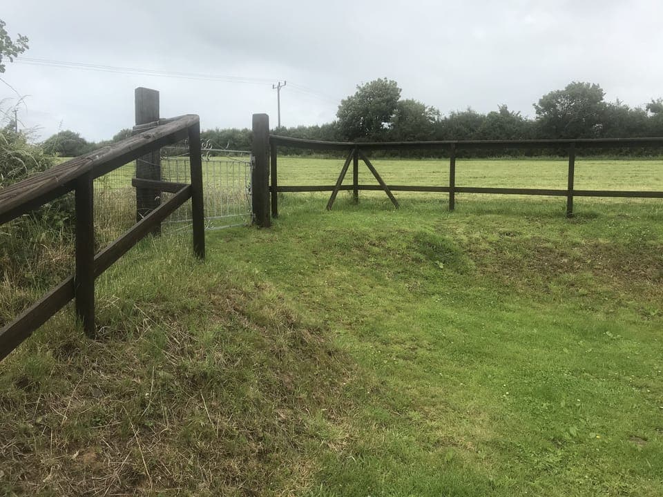 The garden and beyond
