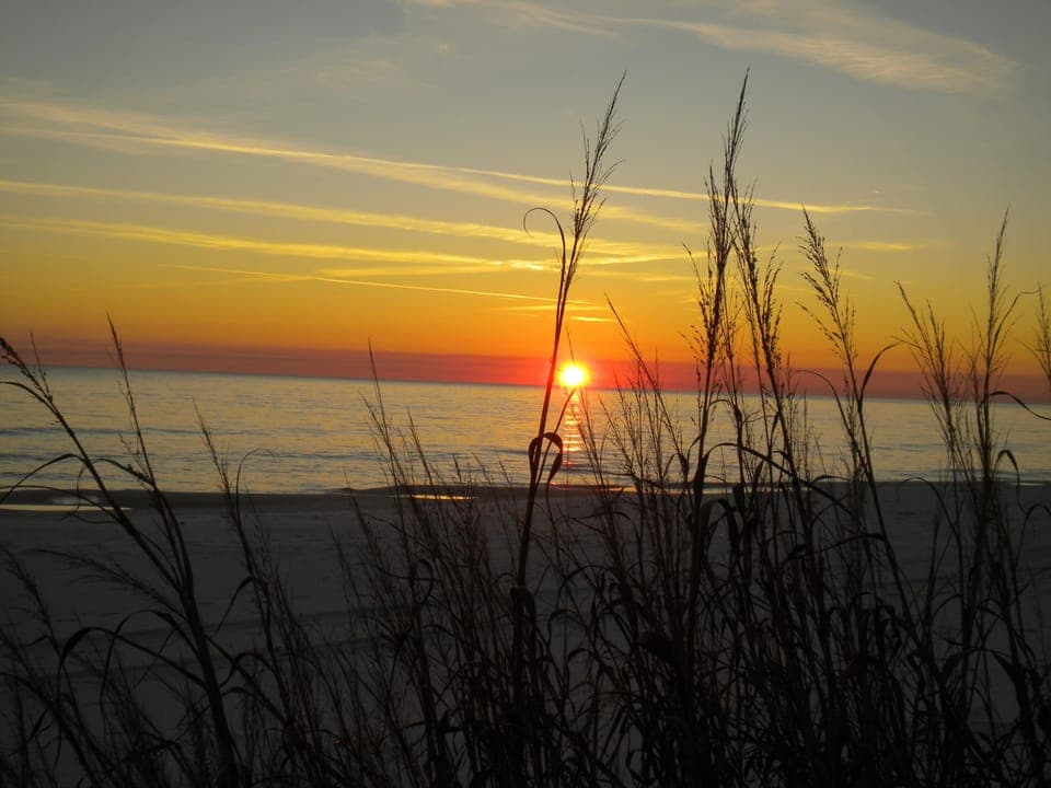 Enjoy Beautiful Sunsets, Dinner and Beverages at Crabby Steve's