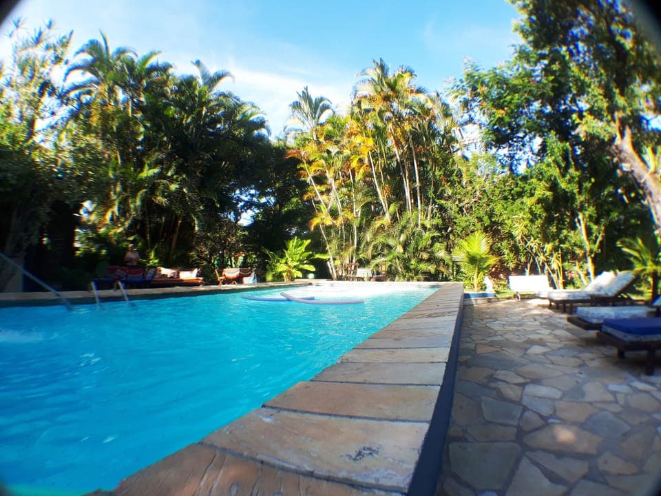 Outdoor pool, sun loungers