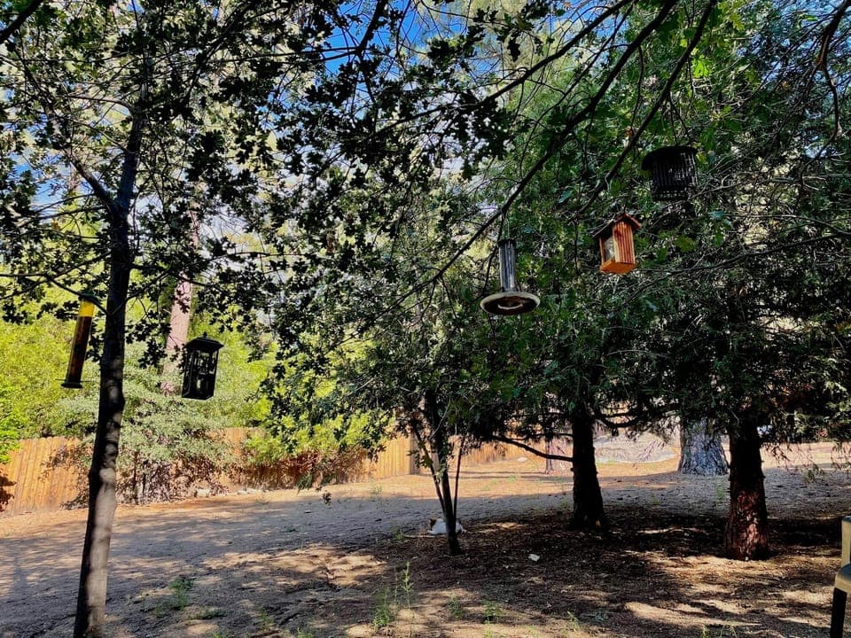 For you bird lovers there is a great bird watching area and extra bird seed too!