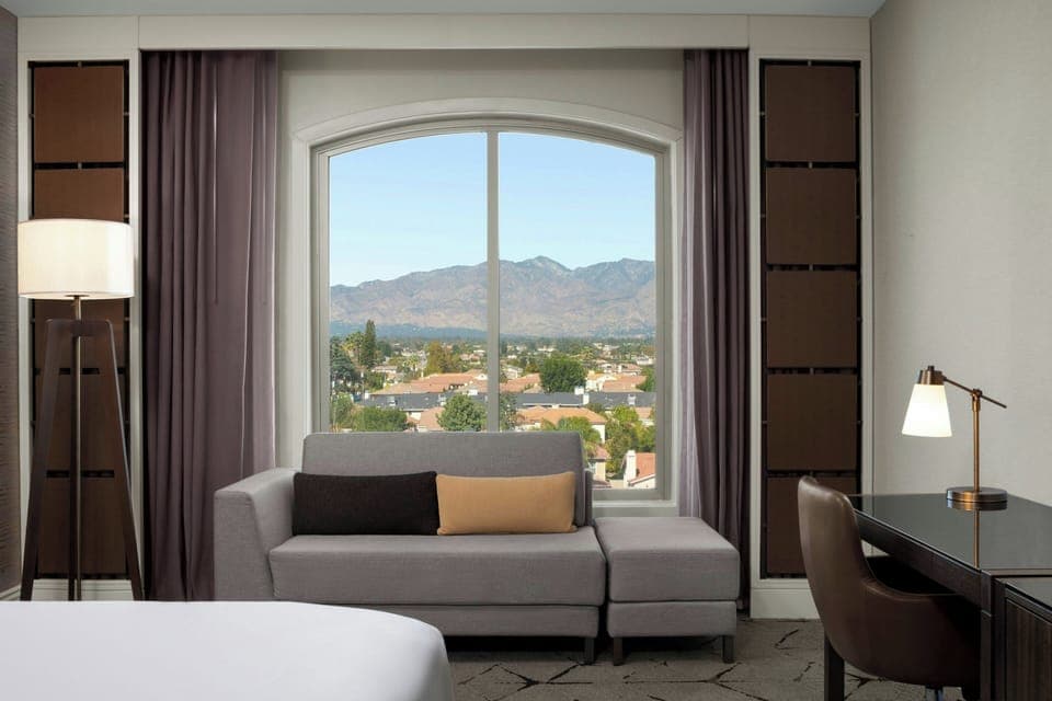 Premium bedding, down comforters, in-room safe, desk