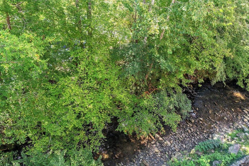 river sounds just below