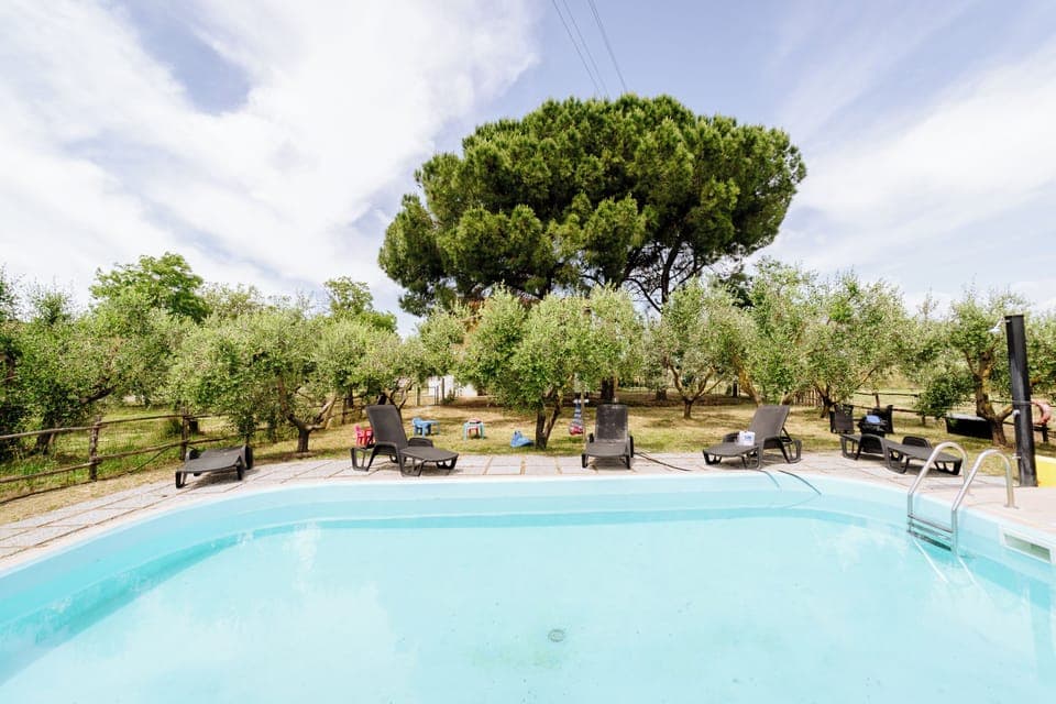 Outdoor pool, open 9:00 AM to 7:00 PM, sun loungers