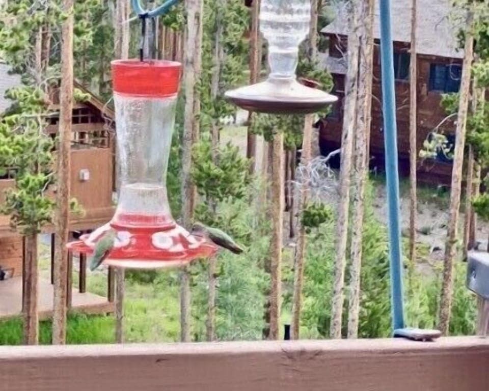 Back Porch