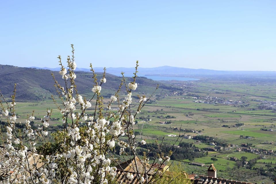 Apartment (1 Bedroom) | Front of property