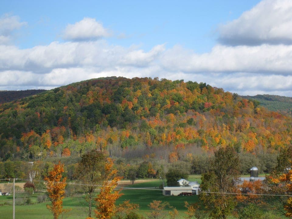 Enjoy the colors of fall