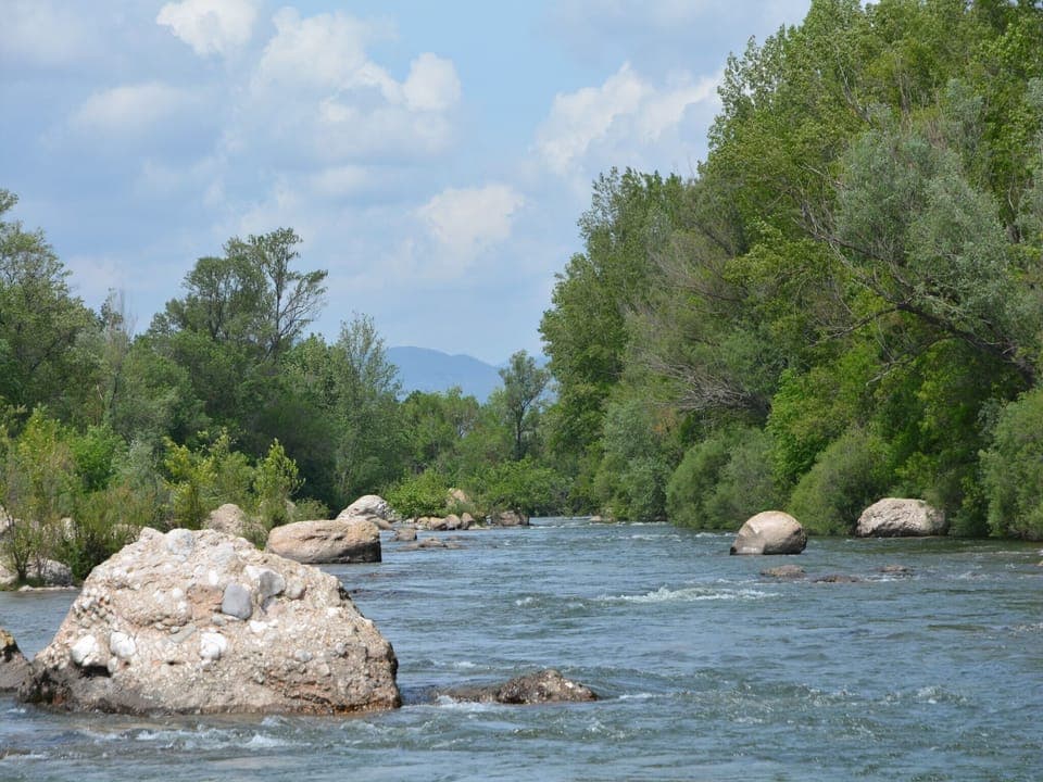 Region [summer] (>5 km)