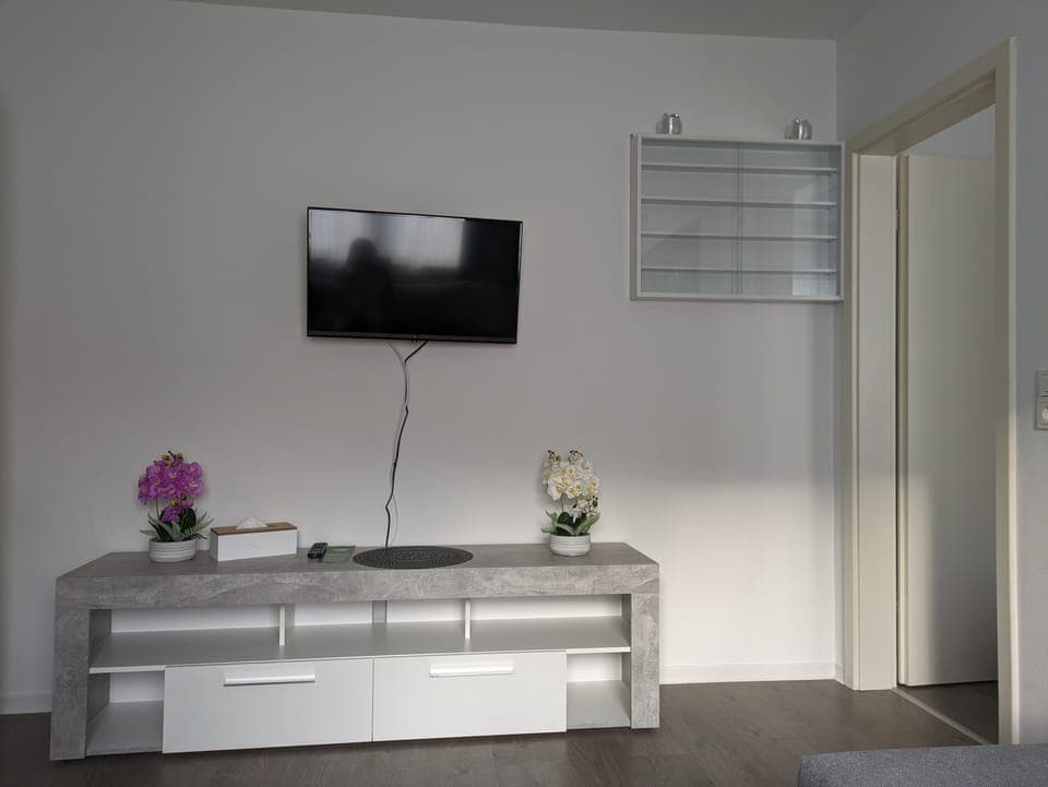 Standard Apartment, 1 Queen Bed with Sofa bed | Living room | 25-inch TV with cable channels