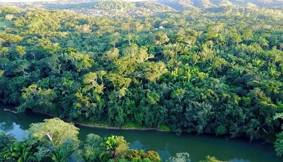 Aqua Cabana - Private Jungle Cabana, Ensuite Bathroom, & Hammocks | Kayaking