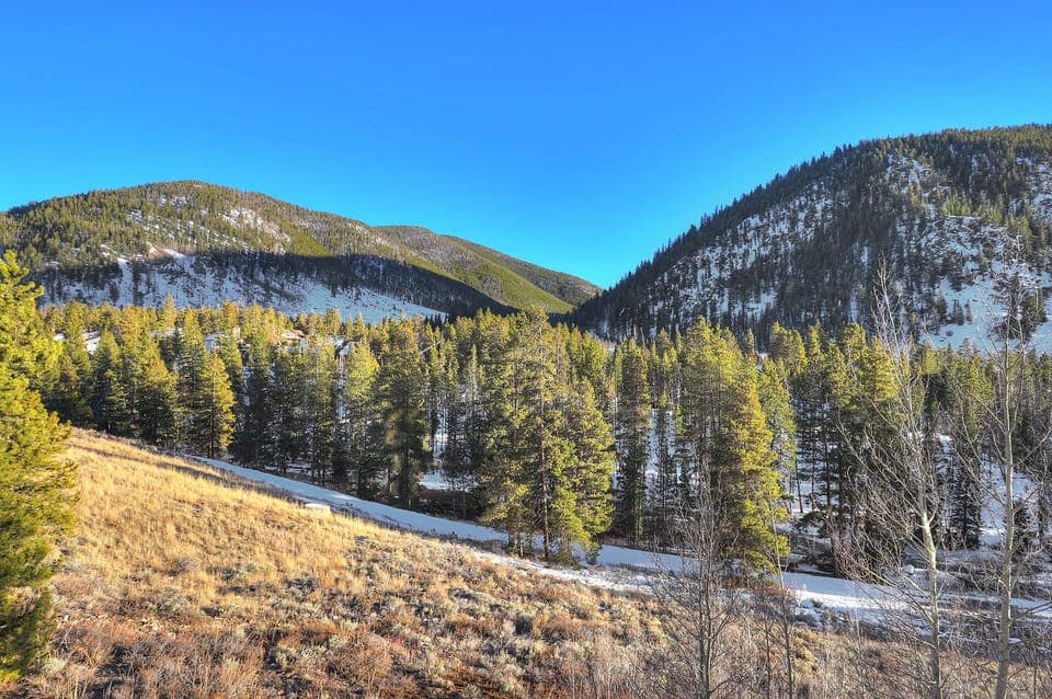 A scenic view of a forested valley with snow-covered areas and a clear blue sky, flanked by green pine-covered mountains.
