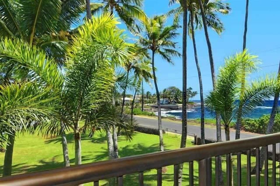 Ocean view with tropical palms