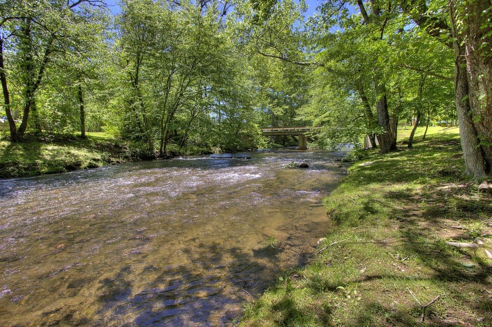 Beautiful Stream in Back