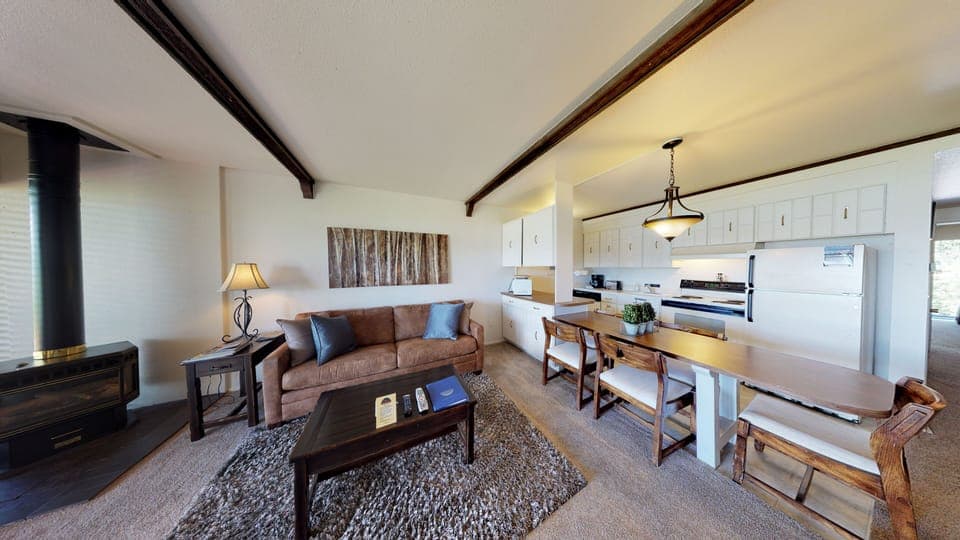 Living Area with Kitchen - Living Area with Kitchen