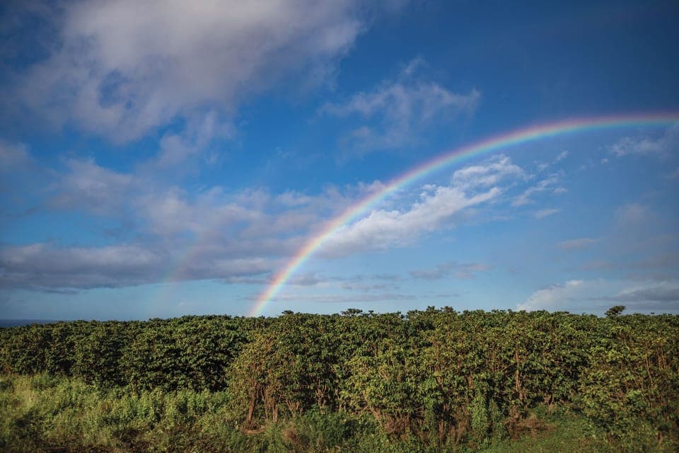 Anuenue over Kauai Coffee fields ... Credit: HTA / Ben Ono