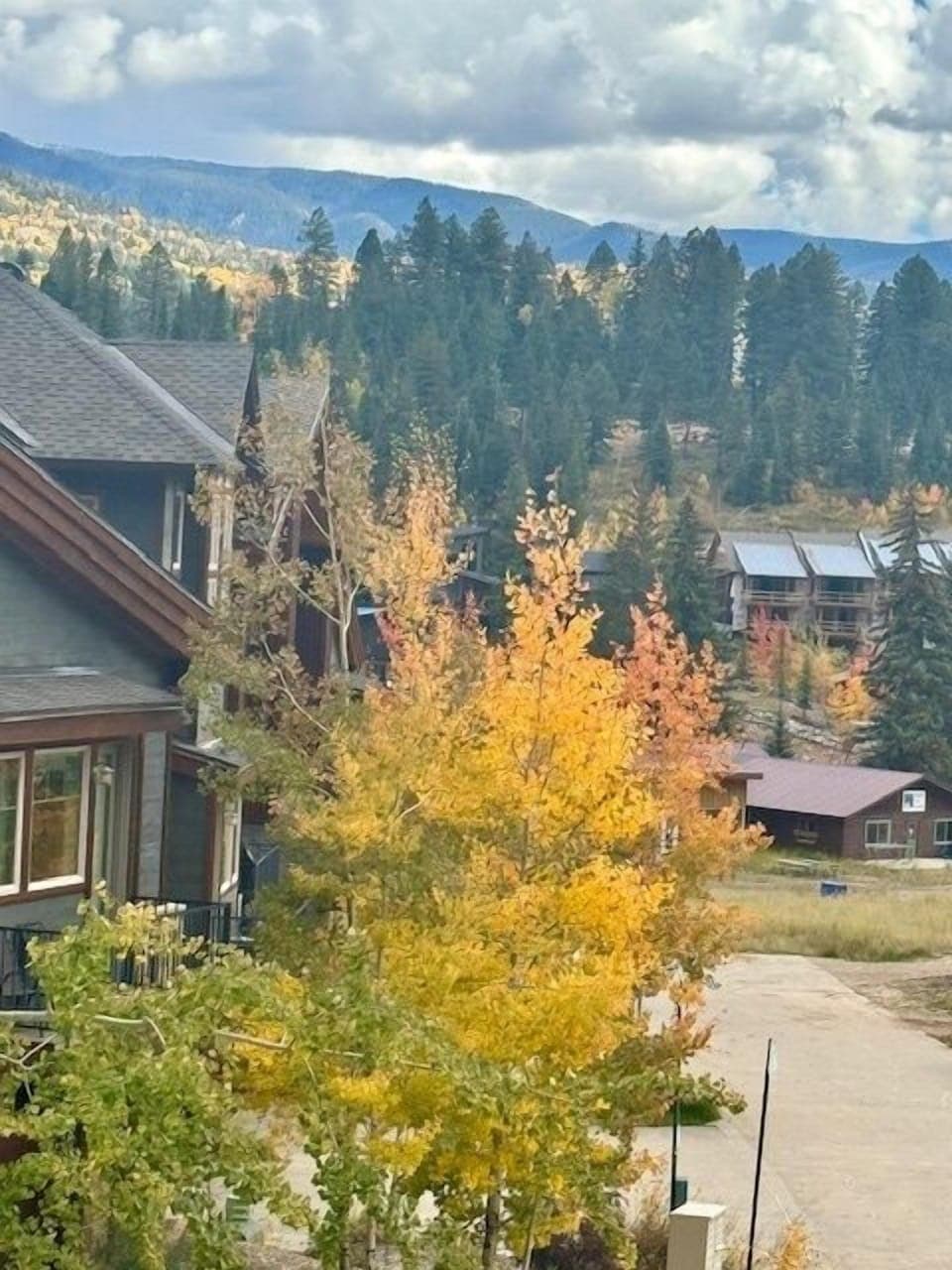 Fall Views