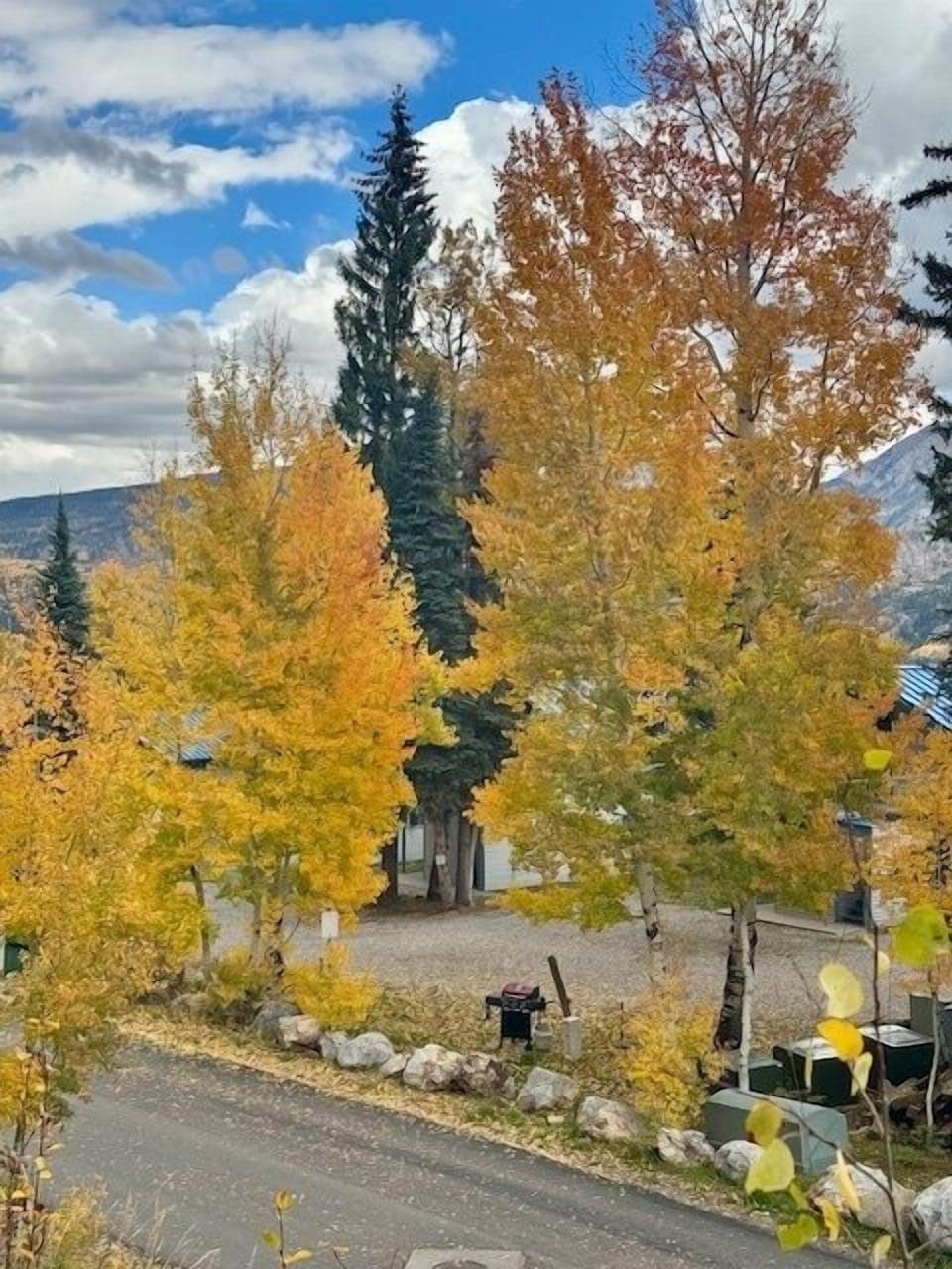 Fall Views