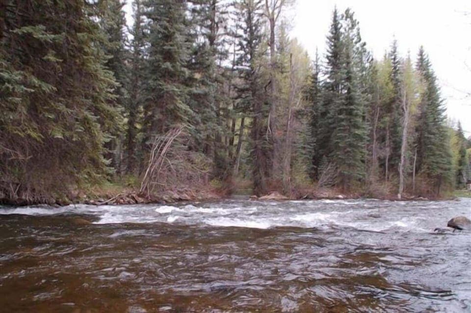 The River