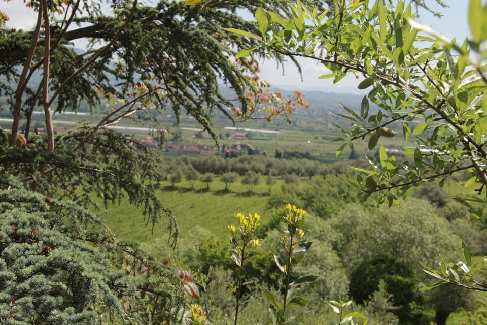 Outdoor, Scenic View