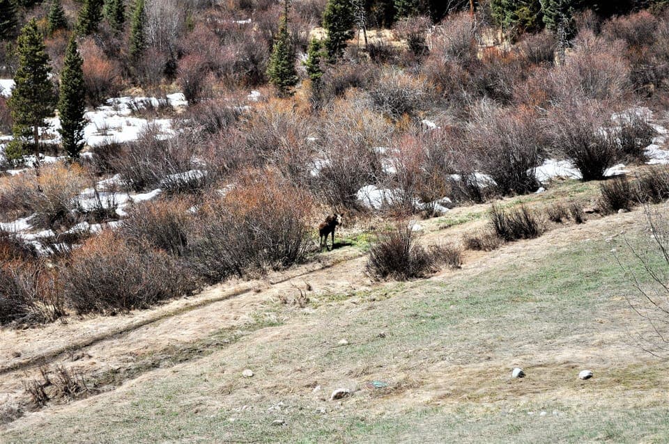 View