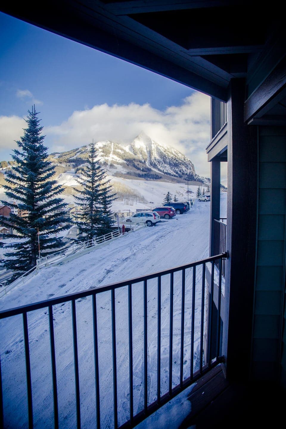 Winter Views