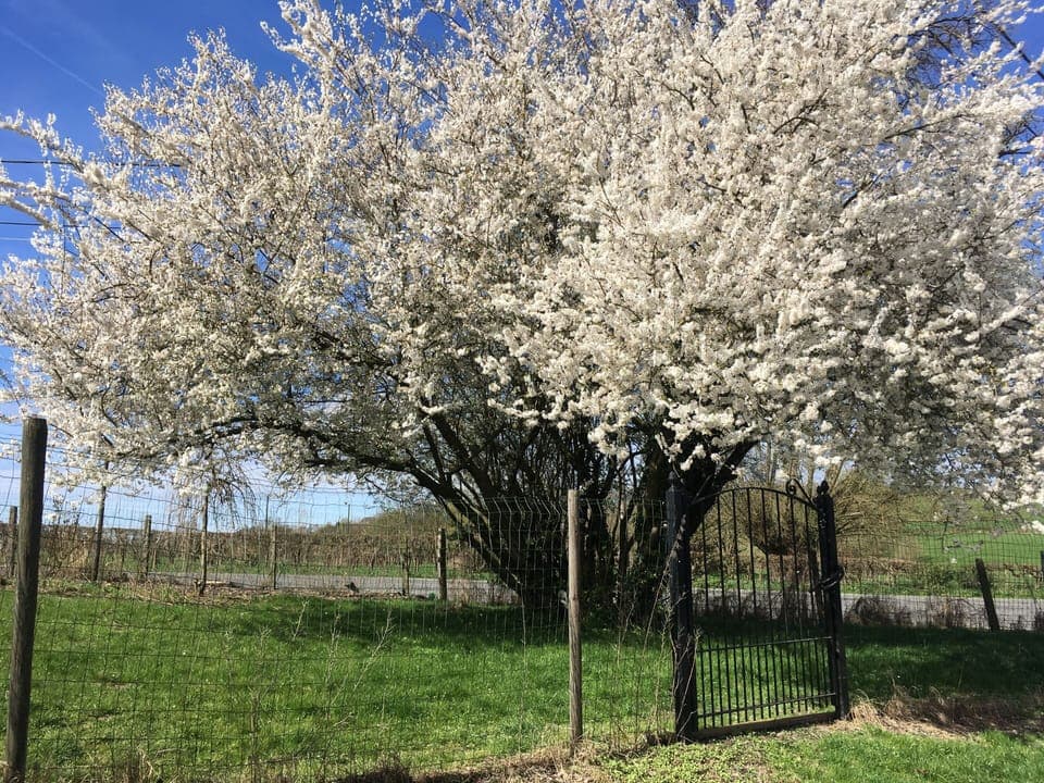 Apartment, Ensuite | Point of interest