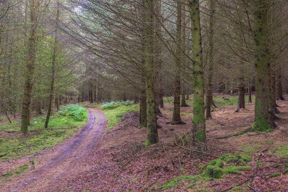 Gardener's Cottage - Craik Forest