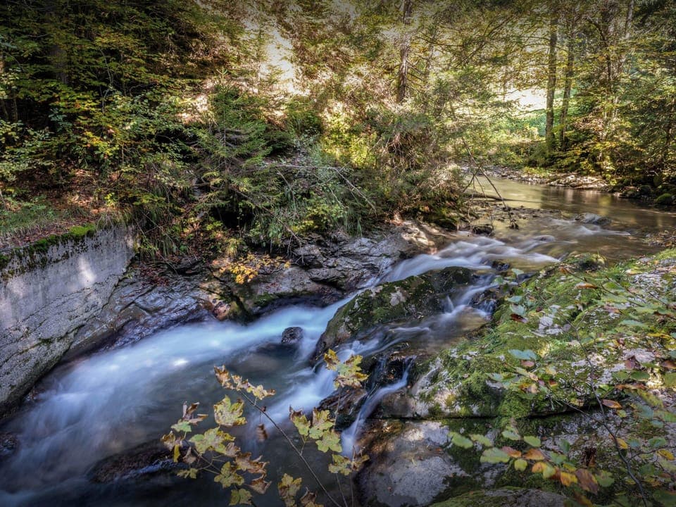 River next to the chalet