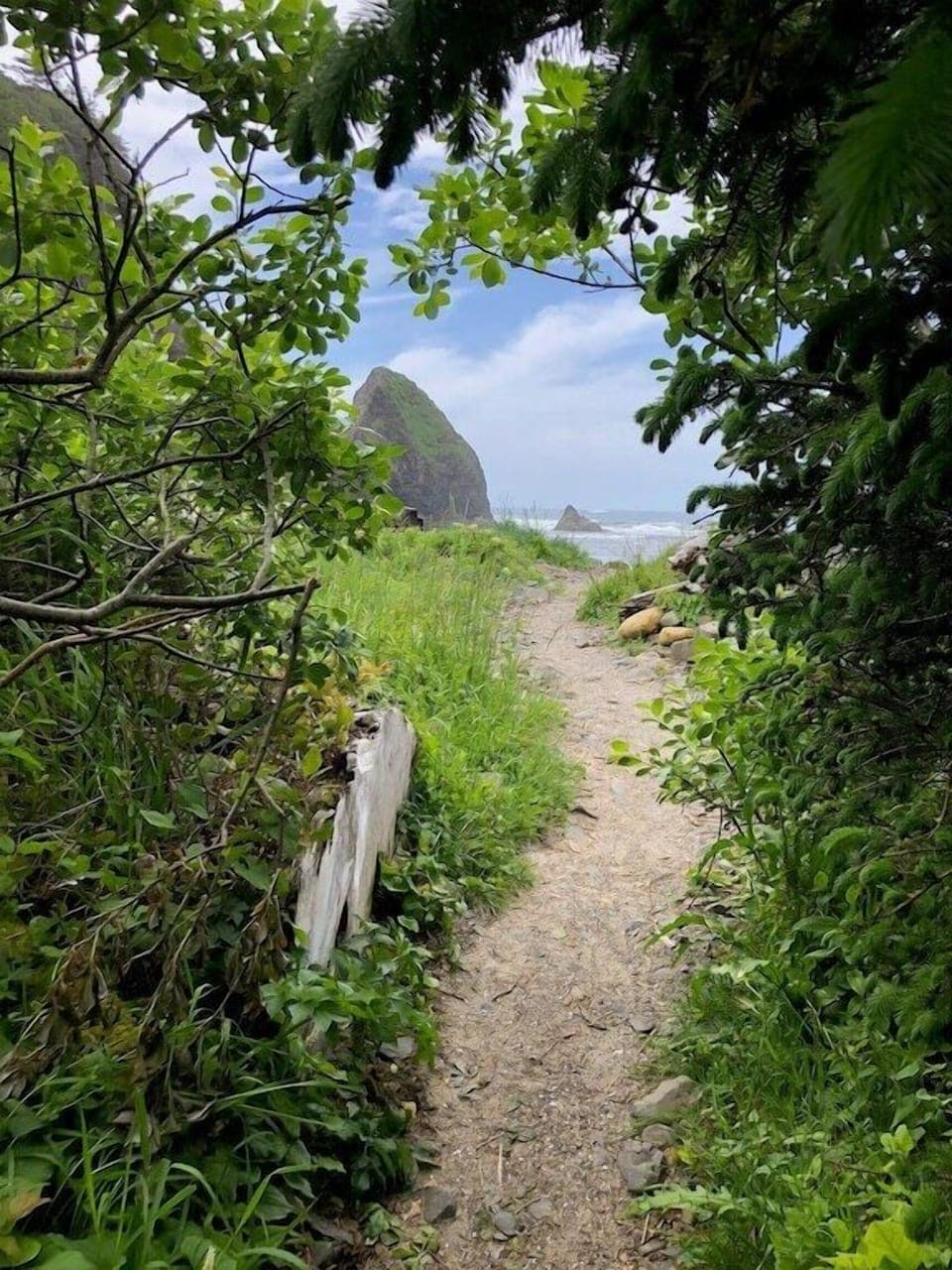 Beautiful path and the beach emerges