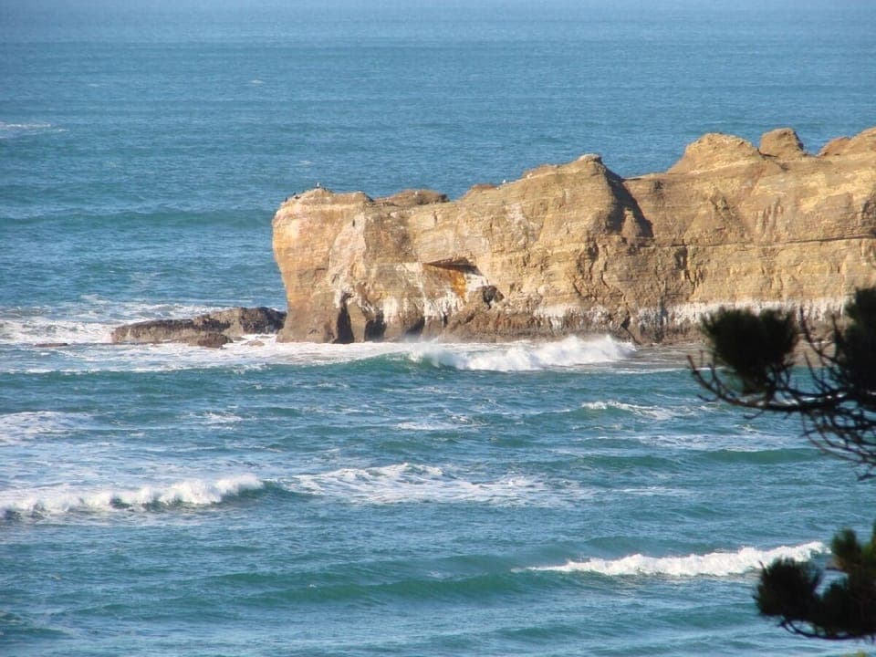 Whale watch from the deck and over looking the surfers