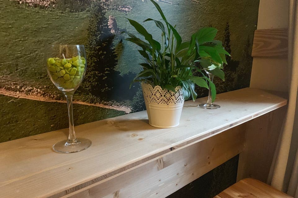 Room, Mountain View | Desk, laptop workspace, blackout drapes, iron/ironing board