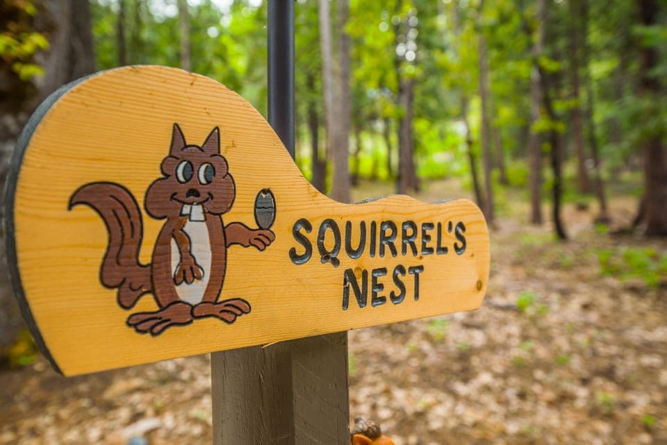 Welcome to Squirrel's Nest