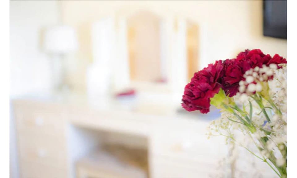 Double or Twin Room | In-room safe, desk, soundproofing, iron/ironing board