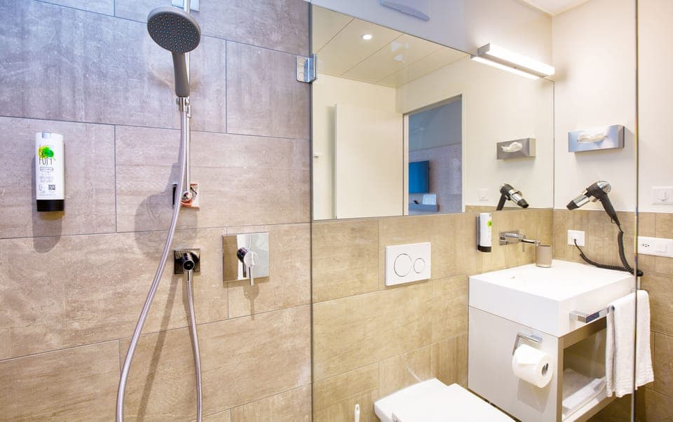 Shower, free toiletries, hair dryer, towels