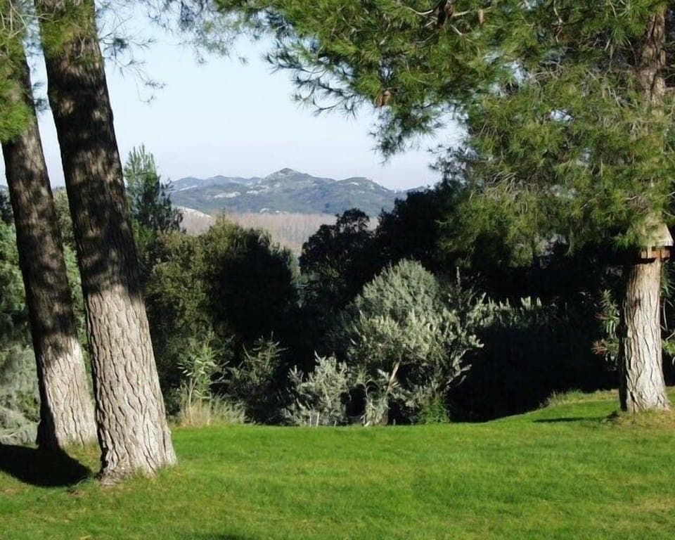 Looking north, view across the Rhône Valley