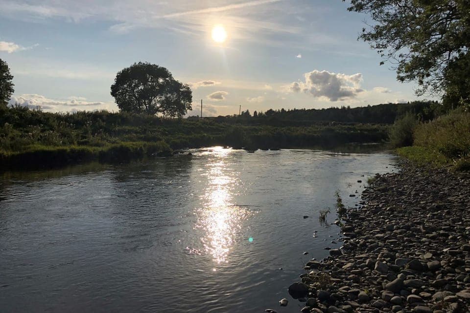 Garden Cottage, Teviot Bank - nearby River Teviot
